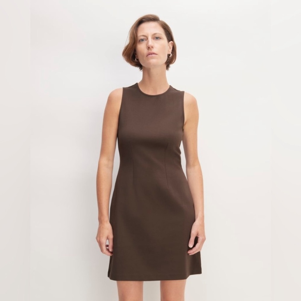 NWOT Everlane The Dream 90s Shift Dress in Earth Brown, M